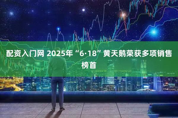 配资入门网 2025年“6·18”黄天鹅荣获多项销售榜首