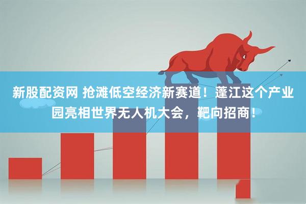 新股配资网 抢滩低空经济新赛道！蓬江这个产业园亮相世界无人机大会，靶向招商！