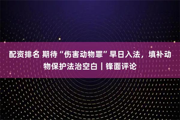 配资排名 期待“伤害动物罪”早日入法,填补动物保护法治空白|锋面评论